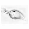 Kette Wing Silber aus Messing Damen