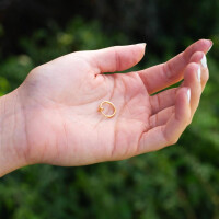 Gold - Fake Piercing Ring mit Springverschluss Silber Edelstahl Unisex