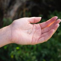 Silber - Fake Piercing Ring Springverschluss Silber Edelstahl Unisex